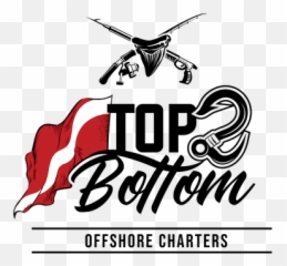 Sharks Tooth Diving U0026 Offshore Charters In Venice Fl - Automotive Decal Png,Shark Teeth Png