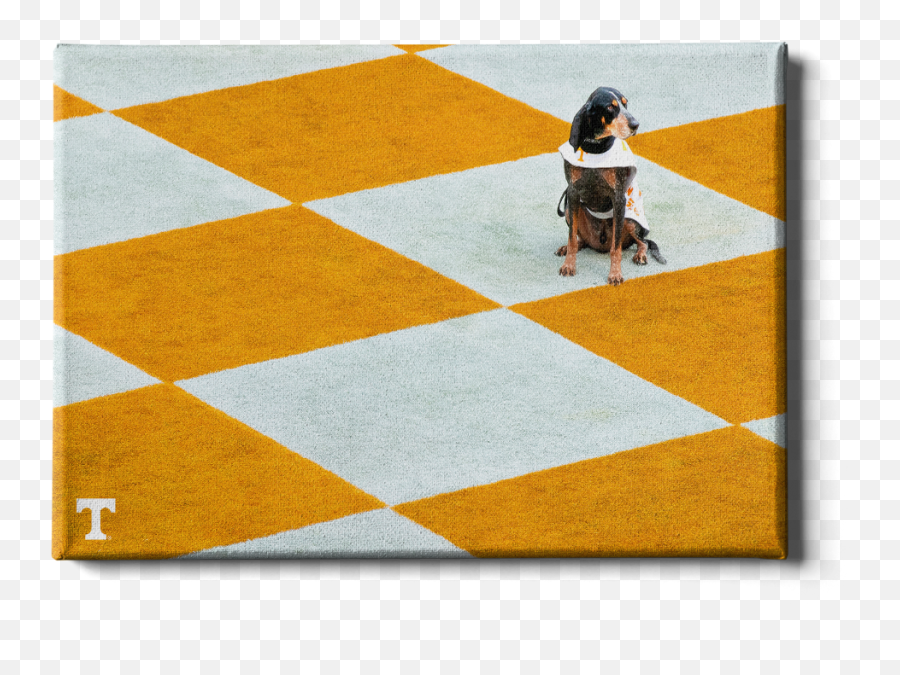 Tennessee Volunteers - Checkerboard Smokey Tennessee Checkerboard Png,Transparent Checkerboard