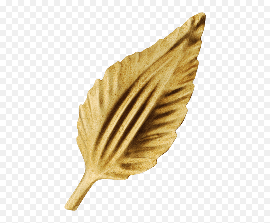 08 Png Gold Leaves
