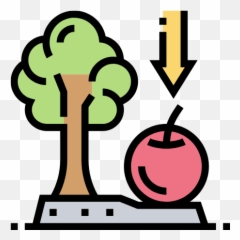 Jc Physics Tuition Singapore A Level - Gravity Force Icon png