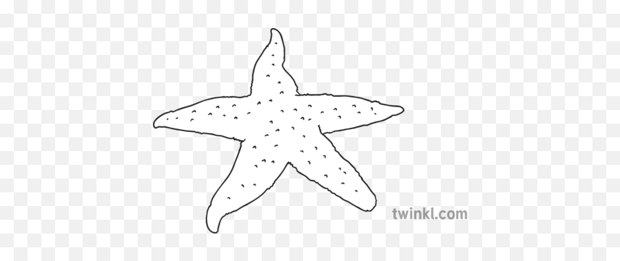Starfish Sea Creature Pirate Eyfs Black And White Rgb - Starfish Png,Starfish Transparent