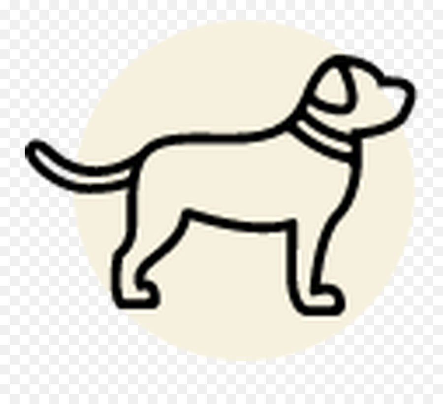Shop - Dog Page 1 Pet Food Express Portable Network Graphics Png,Free Dog Icon
