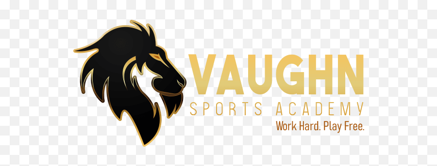 Home - Vaughn Sports Academy Png,Sports Icon Calling It Quits