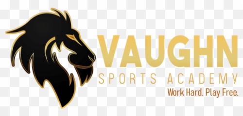Home - Vaughn Sports Academy png