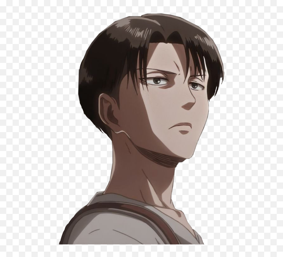 Levi Ackerman Leviackerman 346647951050211 By Whoopsiess - Baby Eren With Levi Png,Levi Icon