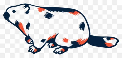 Groundhog Side View Duotone Transparent Png U0026 Svg Vector - Animal Figure