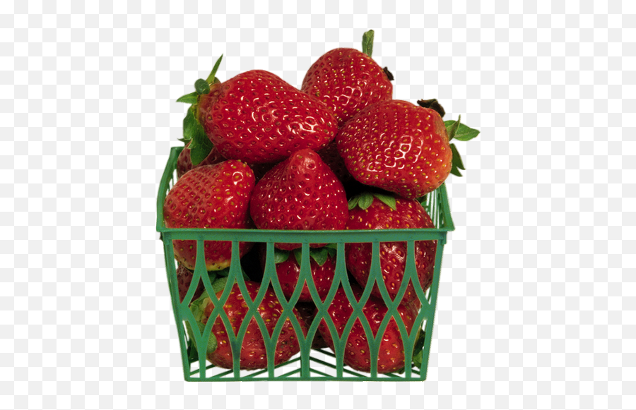 Barquette De Fraises Png Tube - Strawberries Fresas Png Barquette De Fraises,Uc Davis Icon