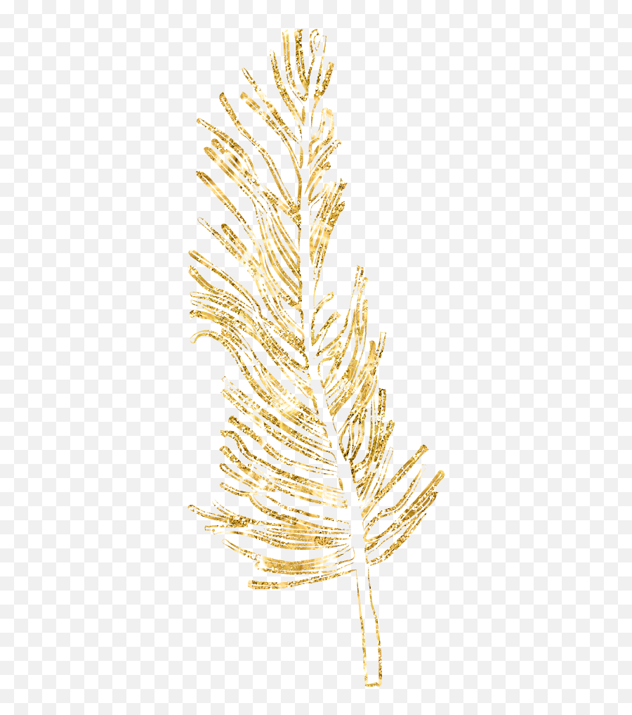 Gold Feather Feathers 270112218002211 By Birdiescreations - Bohemian Gold Feather Png,Feather Icon Png