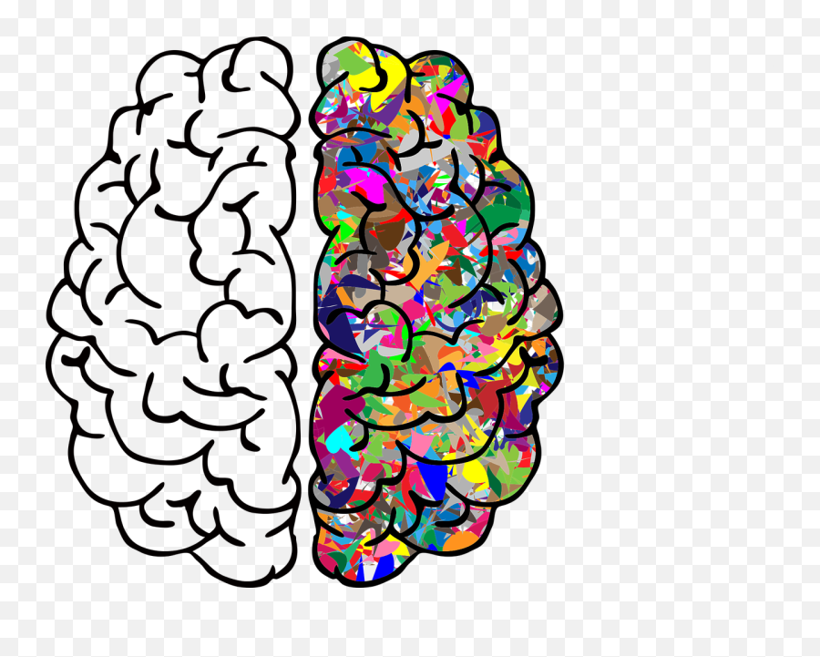 Artificial Intelligence Png - Left Brain Right Brain Png,Brain Transparent Background