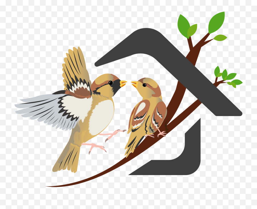 Nest Clipart Sparrow - Save Sparrow Png,Sparrow Png