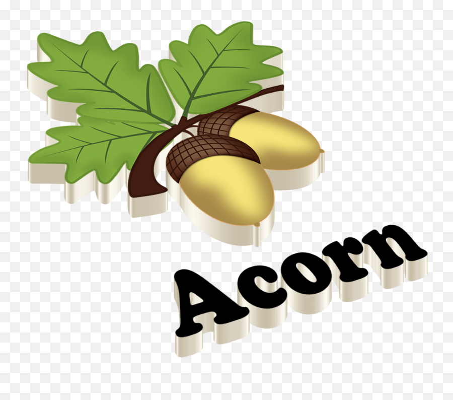 Acorn Png 3 Image - Deepika Name,Acorn Transparent Background