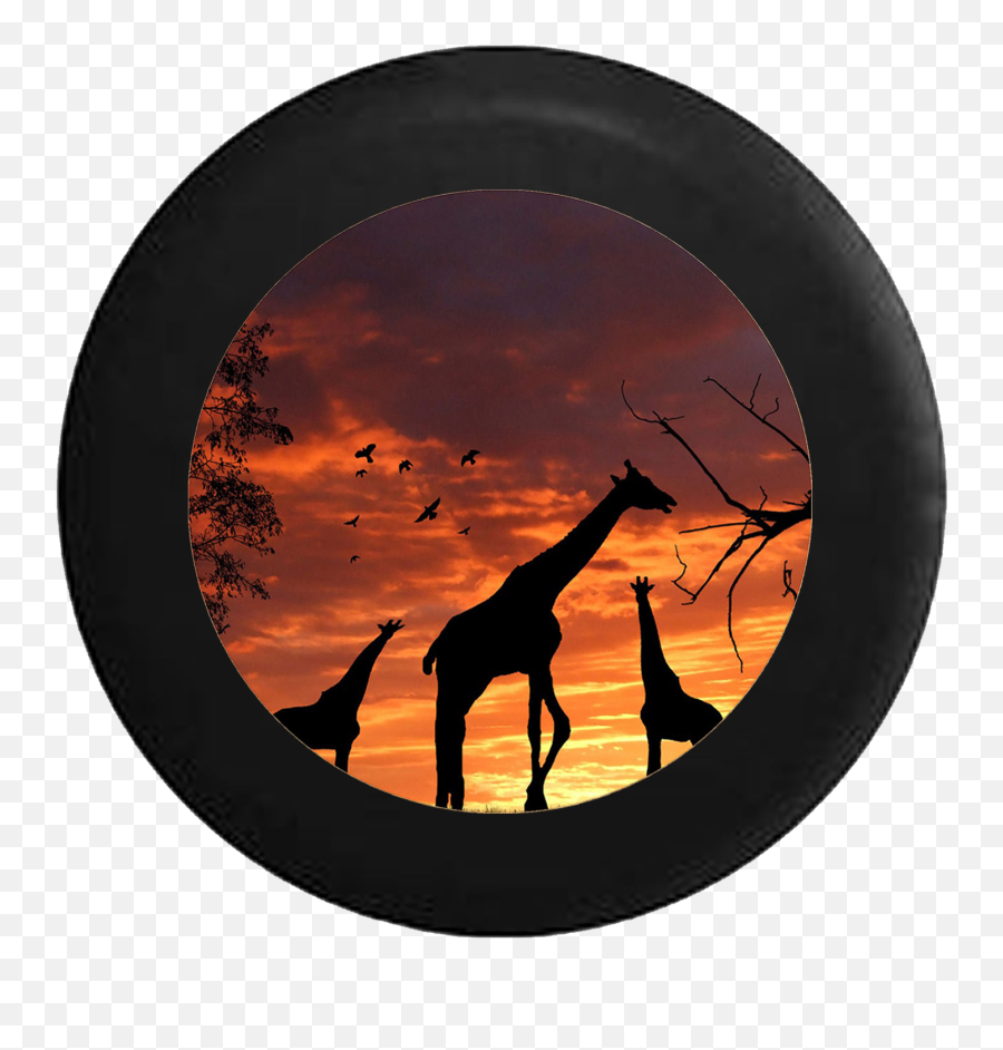 Sunset Sunrise African Safari Sahara - Giraffe Sunset Png,Sunrise Transparent Background