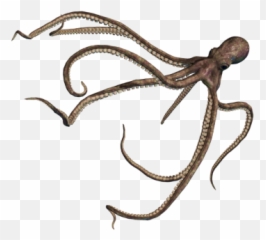 Tentacle Png - Big Octopus