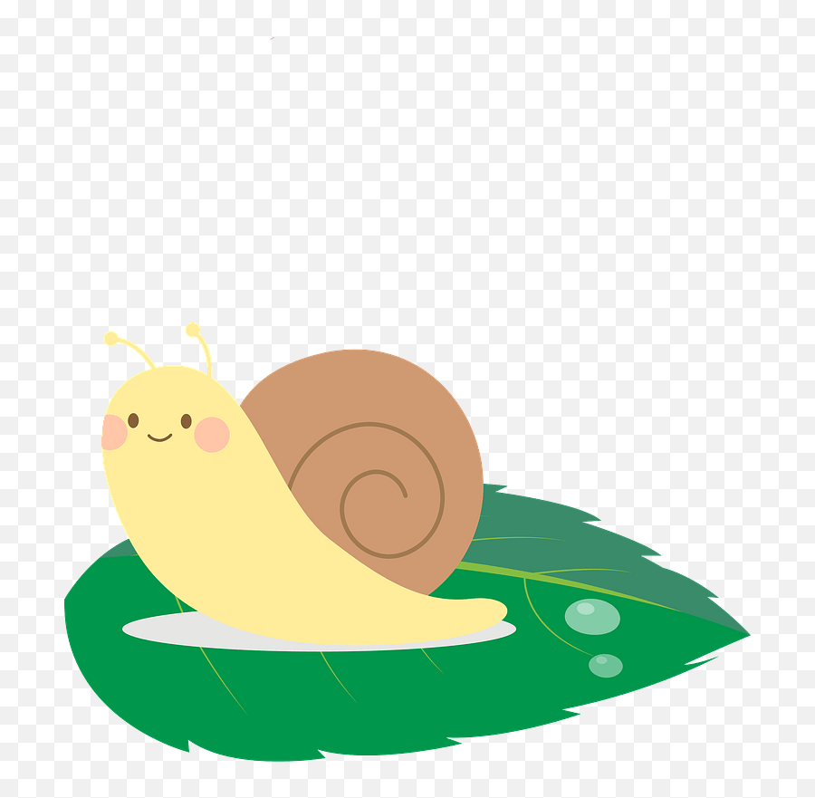 Snail Animal Clipart - Sea Snail Png,Snail Transparent