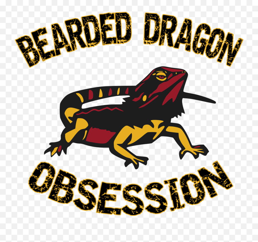 Bearded Dragon Obsession Png Image - Bufo,Bearded Dragon Png