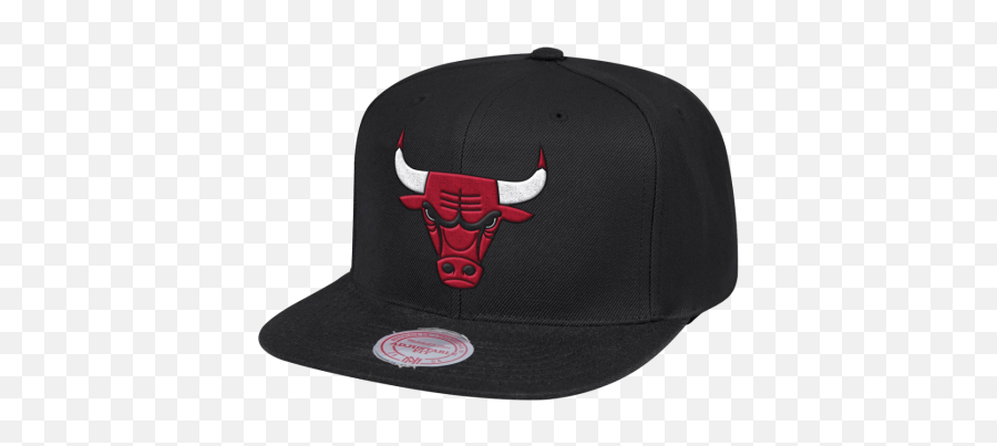 Mitchell U0026 Ness Chicago Bulls Day One 110 Flex Snapback - Baseball Cap Png,Chicago Bulls Png