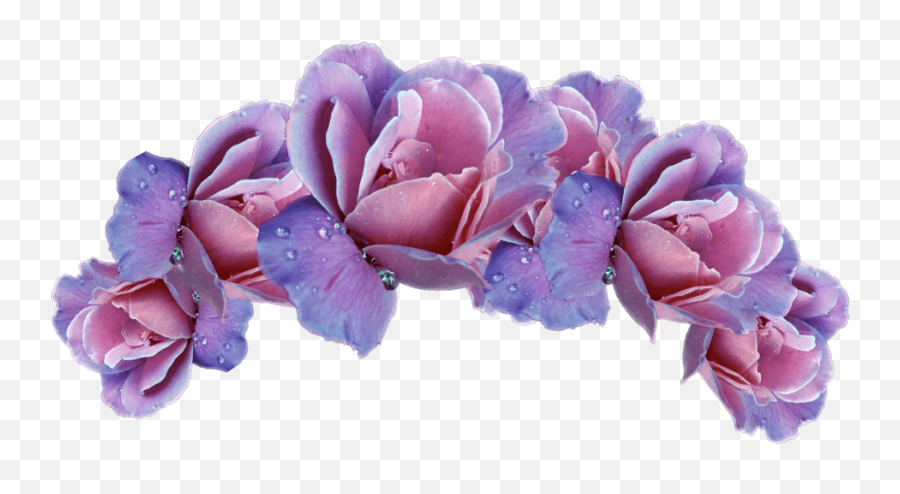 Flower Crown Png Picture - Pink And Purple Flower Crown,Flower Crown Transparent Background