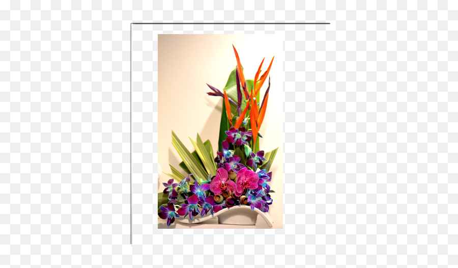 Md26 Tropical Flower Arrangements - Picture Frame Png,Tropical Flower Png