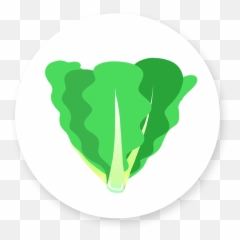 Romaine Lettuce - Illustration Transparent Cartoon Jingfm Fresh png
