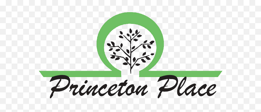 Princeton Place U2013 Paramount Healthcare Consultants - College Of Saint Mary Flames Png,Paramount Pictures Logo Png