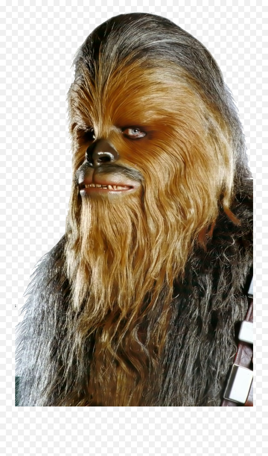 Hq Chewbacca Wookie Cutout Cutouts - Star Wars Brown Guy Png,Chewbacca Transparent