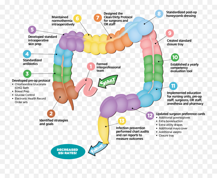 Colorectal Ssis Plummet With Evidence - Based Care Bundles Colorectal Surgery Types Png,Cone Health Logo