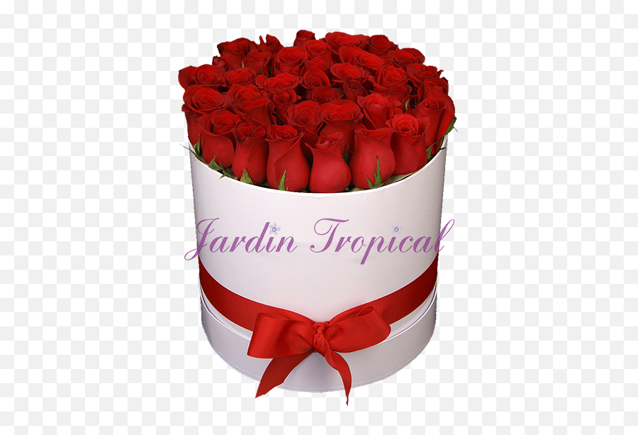 Of - Day Png,Rosas Rojas Png