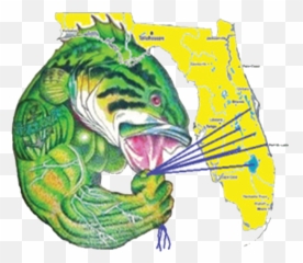 Florida Bass Fishing Report Okeechobee Stick Marsh U2014 Hawg - Fictional Character png