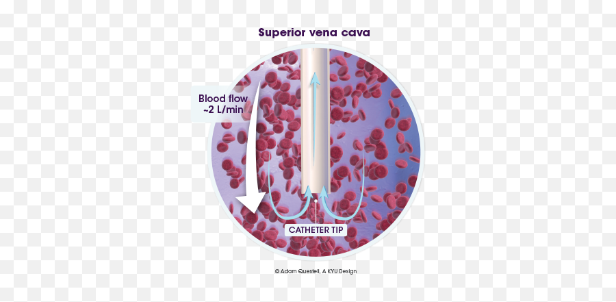 Treating Occluded Catheters - Cathflo Activase Alteplase Vertical Png,Blood Circulation Icon