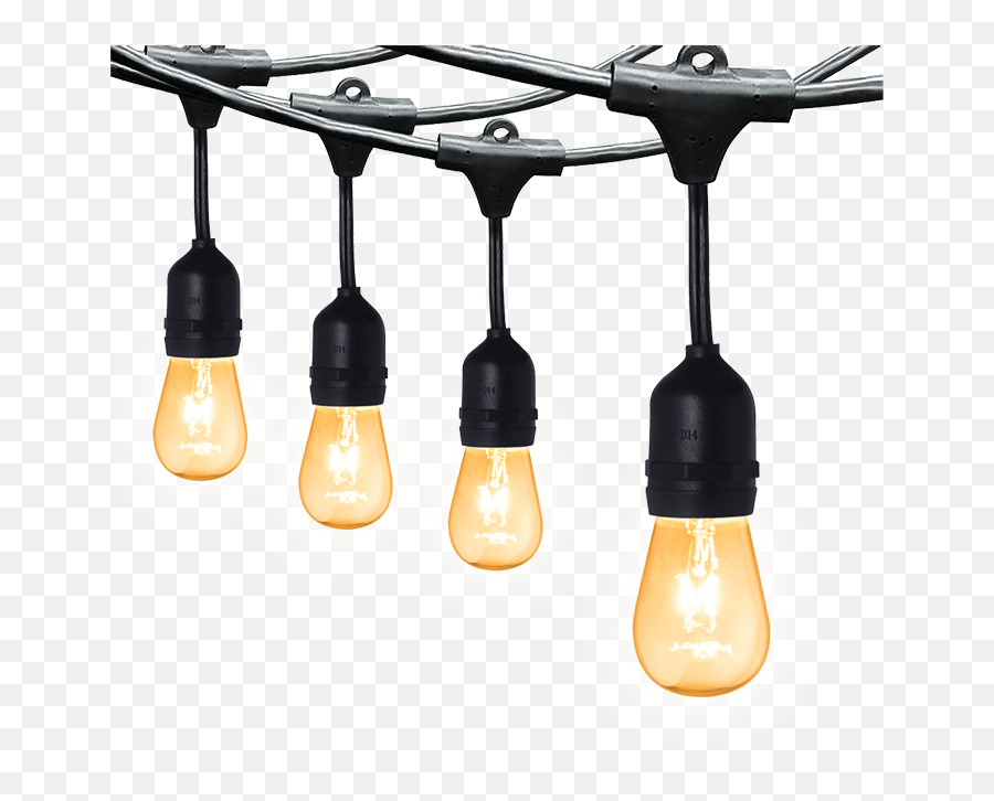 String Lights - Firefly Electric U0026 Lighting Corporation Ceiling Fixture Png,String Light Png