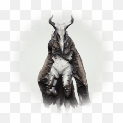 Kisleev Harpy Mage - BDO Codex Bdo png