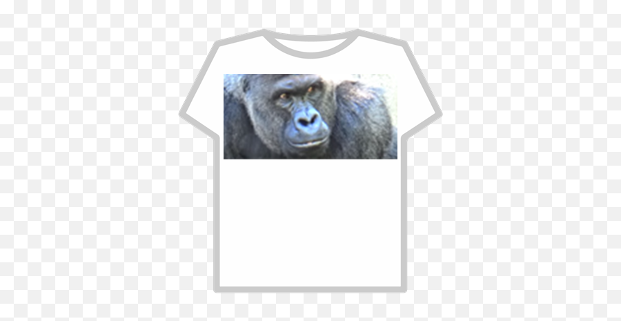 Harambe Goku Ssj4 T Shirt Roblox Png Free Transparent Png Images Pngaaa Com - gorillaface roblox