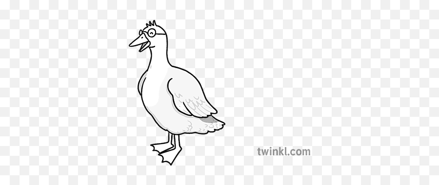 Drakey Lakey Black And White Illustration - Twinkl Domestic Duck Png,Witcher 3 Book Icon In Home