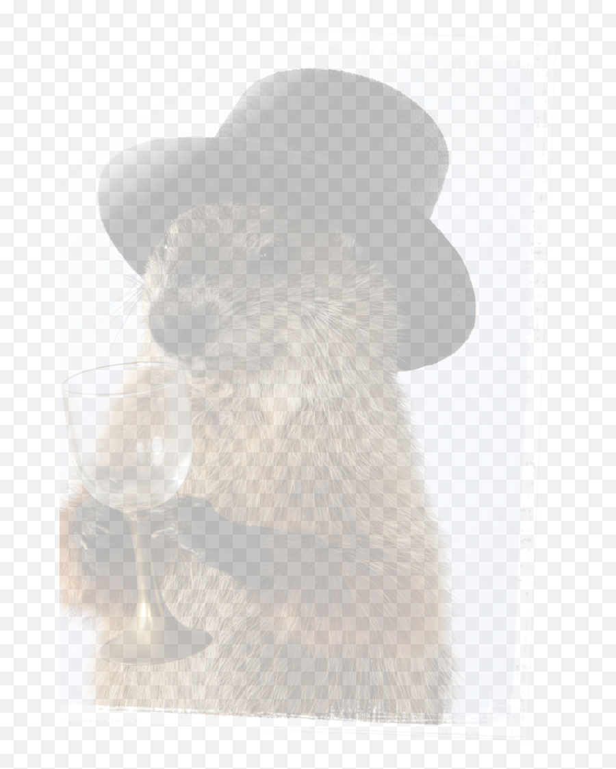 Groundhog Winery - Champagne Glass Png,Groundhog Icon