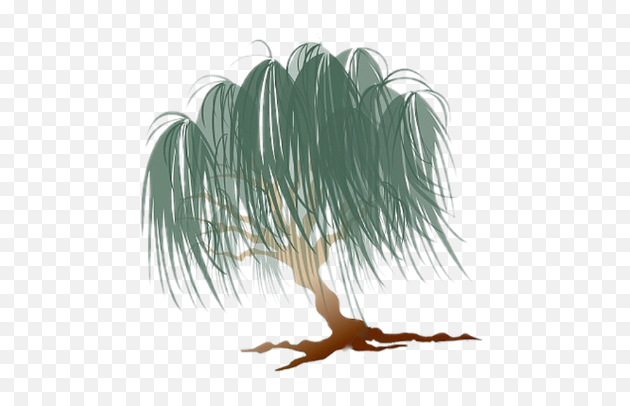 Home Willowtree - Sketch Png,Willow Tree Icon