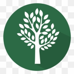 Lamphearu0027s Lawn Service Best Landscaping Company Medina - Dot png