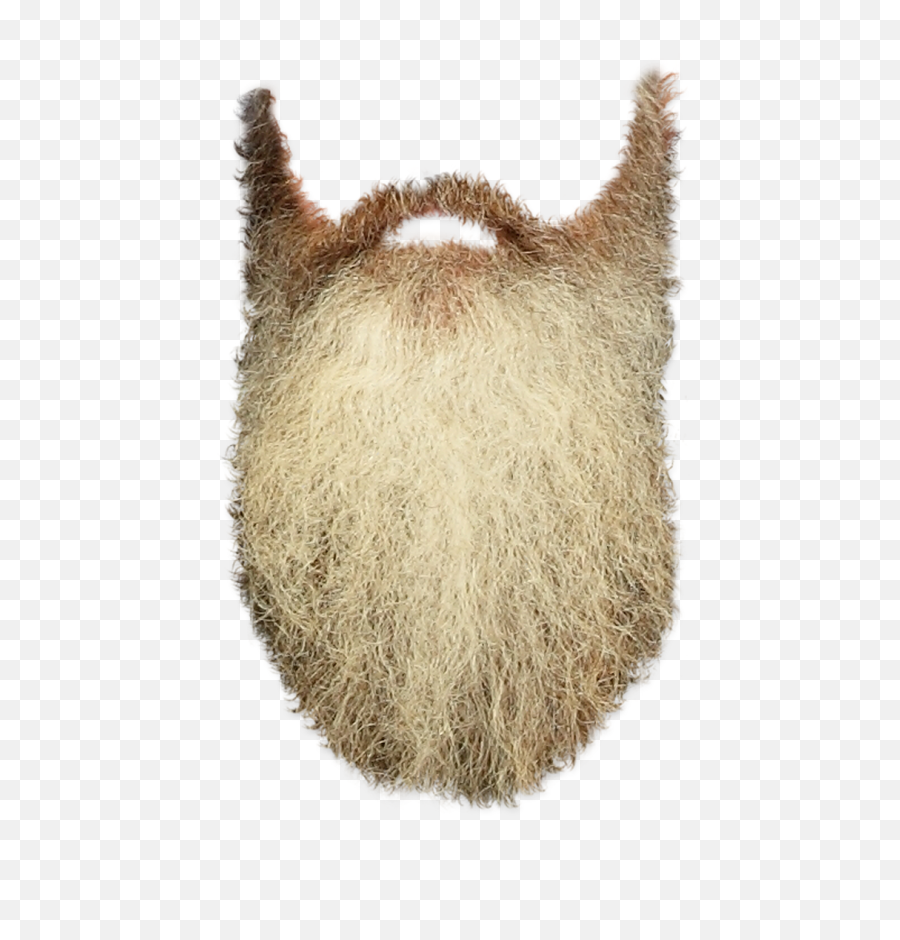 Beards - Transparent Background Beard Transparent Png,Beard Transparent Background