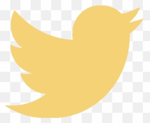 Cardiomems Georgia Tech To St Jude Medical U2013 The Pioneer - Transparent Yellow Twitter Logo png