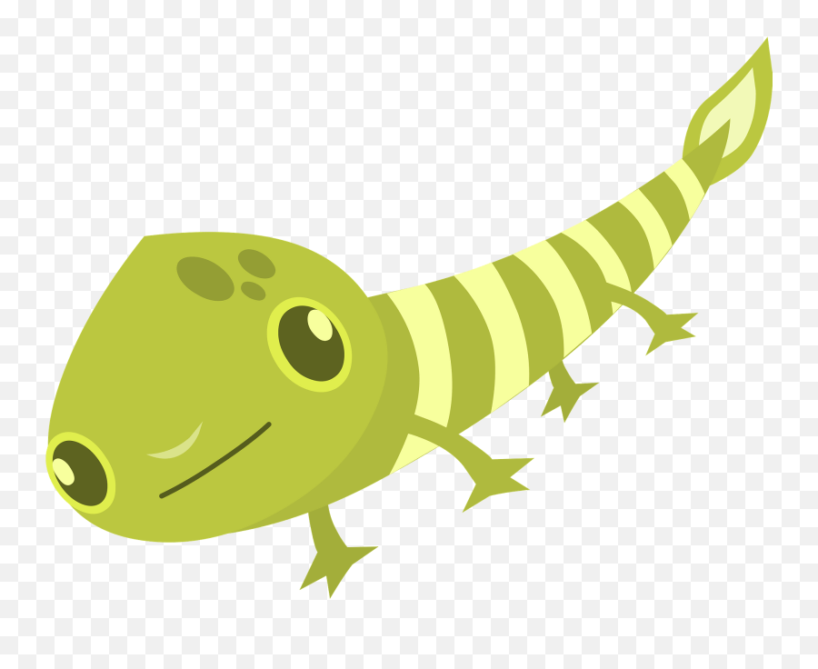 Firebog Lizard Clipart Free Download Transparent Png - Portable Network Graphics,Tadpole Icon