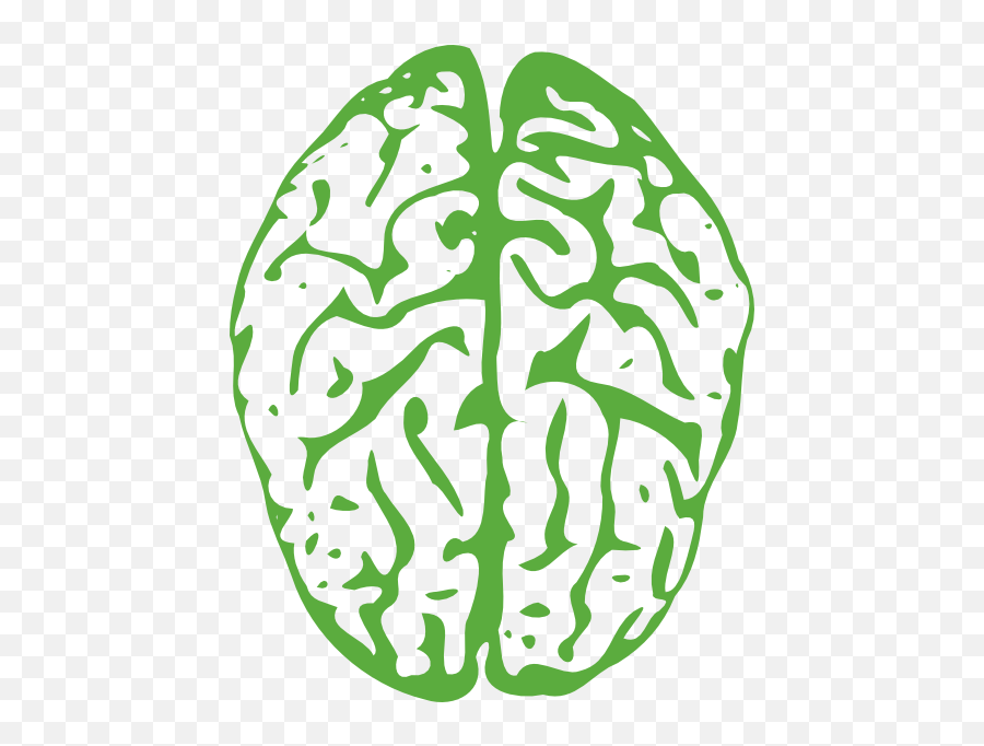 Brain Png - Brain Clipart Transparent Background,Brain Transparent Background