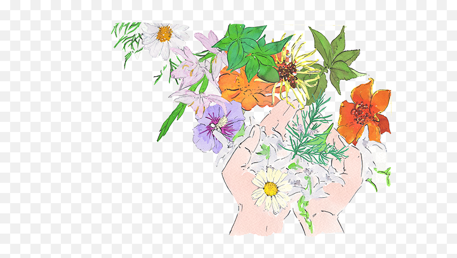 Beauty Philosophy - Skin Care Philosophy Emmaus Beauty Alpine Aster Png,Philosophy Png