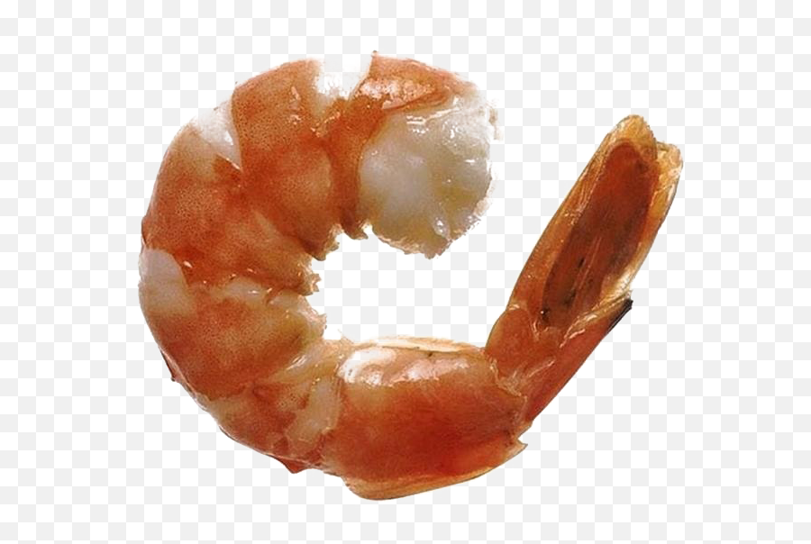 Ocean Shrimp Transparent Free Png Play - Shrimp Cocaine,Ocean Transparent Background