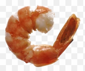 Ocean Shrimp Transparent Free Png Play - Shrimp Cocaine,Ocean Transparent Background