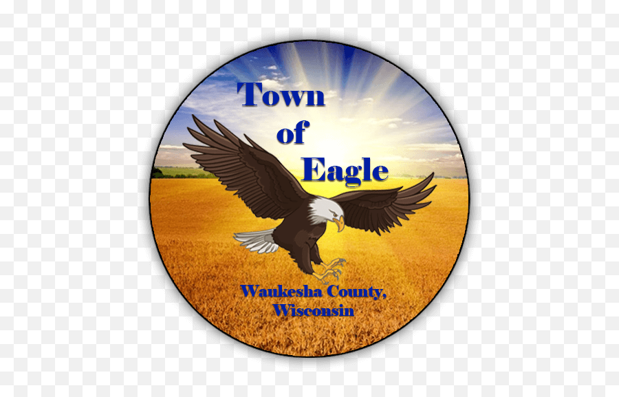 Town Of Eagle - Eagle Town Png,Eagle Logo Transparent
