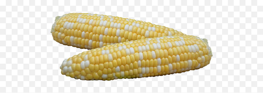 Ifsi Sweet Corn - Corn Kernels Png,Corn Transparent