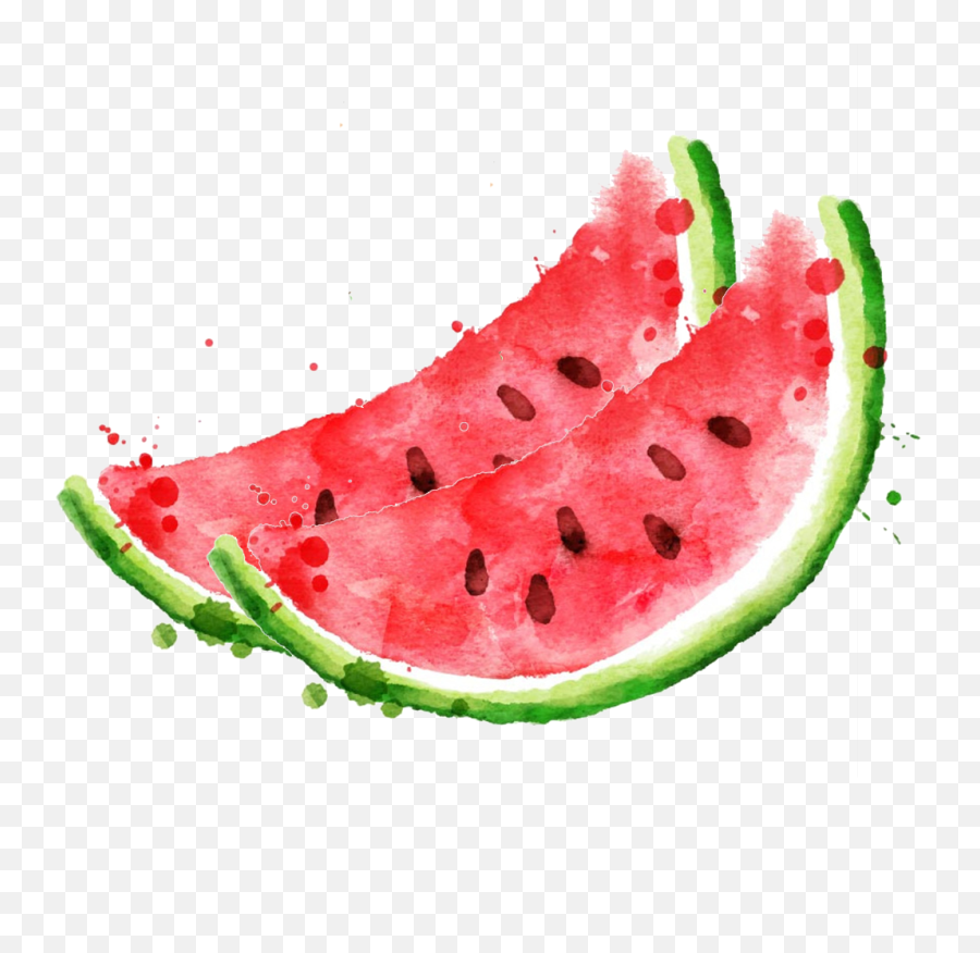 Download Royalty Free Stock Photography Clip Art Royaltyfree - Watercolor Watermelon Clipart Png,Watermelon Png Clipart