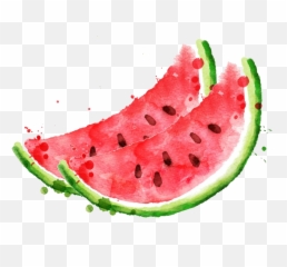 Download Royalty Free Stock Photography Clip Art Royaltyfree - Watercolor Watermelon Clipart Png,Watermelon Png Clipart