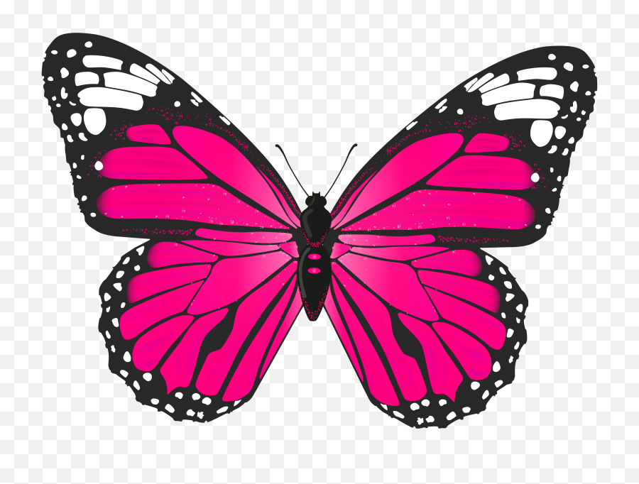 Butterflies Png Clipart Free 2 Image - Pink Butterfly Transparent,Butterfly Png Clipart