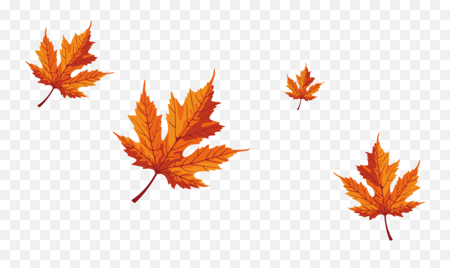 Falling Maple Leaves Png Download - Falling Maple Tree Leaves,Maple Leaf Png