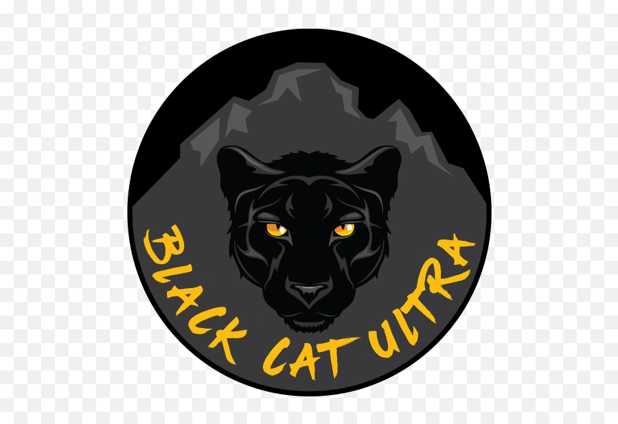 Black Cat Ultra - Cougar Png,Black Cat Transparent